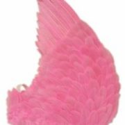 Engelen Vleugels Rose