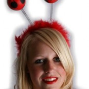 Diadeem Lieveheersbeestje