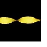 Draaislinger Geel 6 Meter