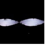 Draaislinger Licht Blauw 6 Meter