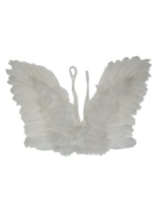 Engelen Vleugels Wit Veren Kind
