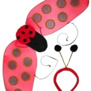 Lieveheersbeestje Vleugels Diadeem