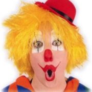 Pruik Clown Touwtjes Geel Haar