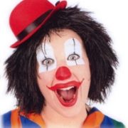 Pruik Clown Touwtjes Zwart Haar