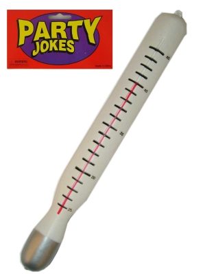 Thermometer Groot Plastic