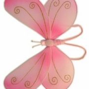 Vlinder Vleugels Rose Kind