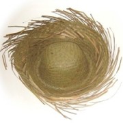 Hawaii Strohoed Naturel