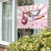 Geboorte Meisje Raamvlag Baby