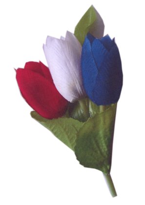 Broche 3 Tulpen Rood Wit Blauw