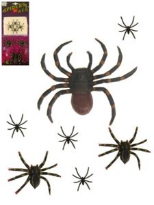 Spinnen Met Web Op Kaart