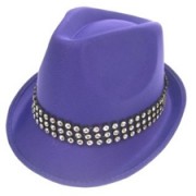 Kojakhoed Paars met Strassband