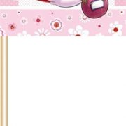 Geboorte Meisje Prikkers