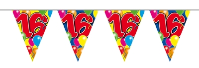 Vlaggenlijn Leeftijd 16 Jaar