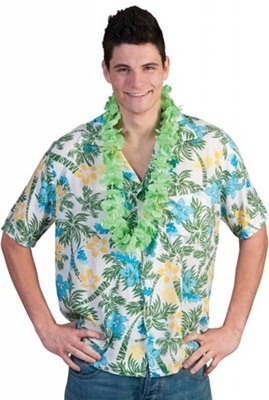 Hawaii Shirt Rustic Hawai