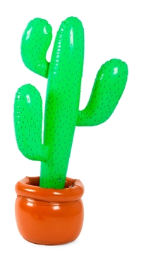 Cactus Opblaasbaar