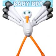 Geboorte Jongen Ooievaar