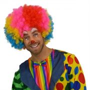 Afro Pruik Multi