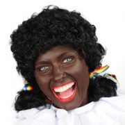 Pieternel Pruik Zwart Met Staartjes