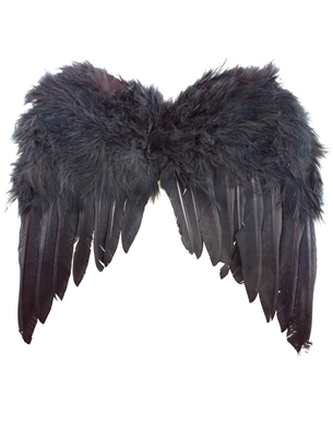 Engelen Vleugels Zwart 35 Cm